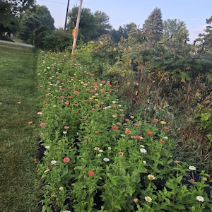 Cassidy added a photo of their purchase
