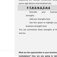 Buy Small Business Plan Template, GOOGLE DOCS Business Planner Proposal ...