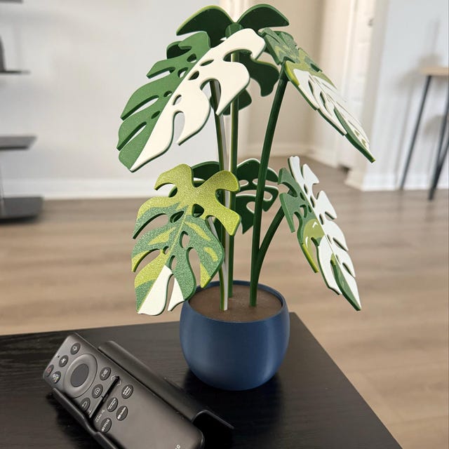 モンステラコースター植物、マグネット式葉っぱ（内側に穴あり）、植物