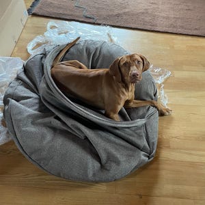 Alina added a photo of their purchase