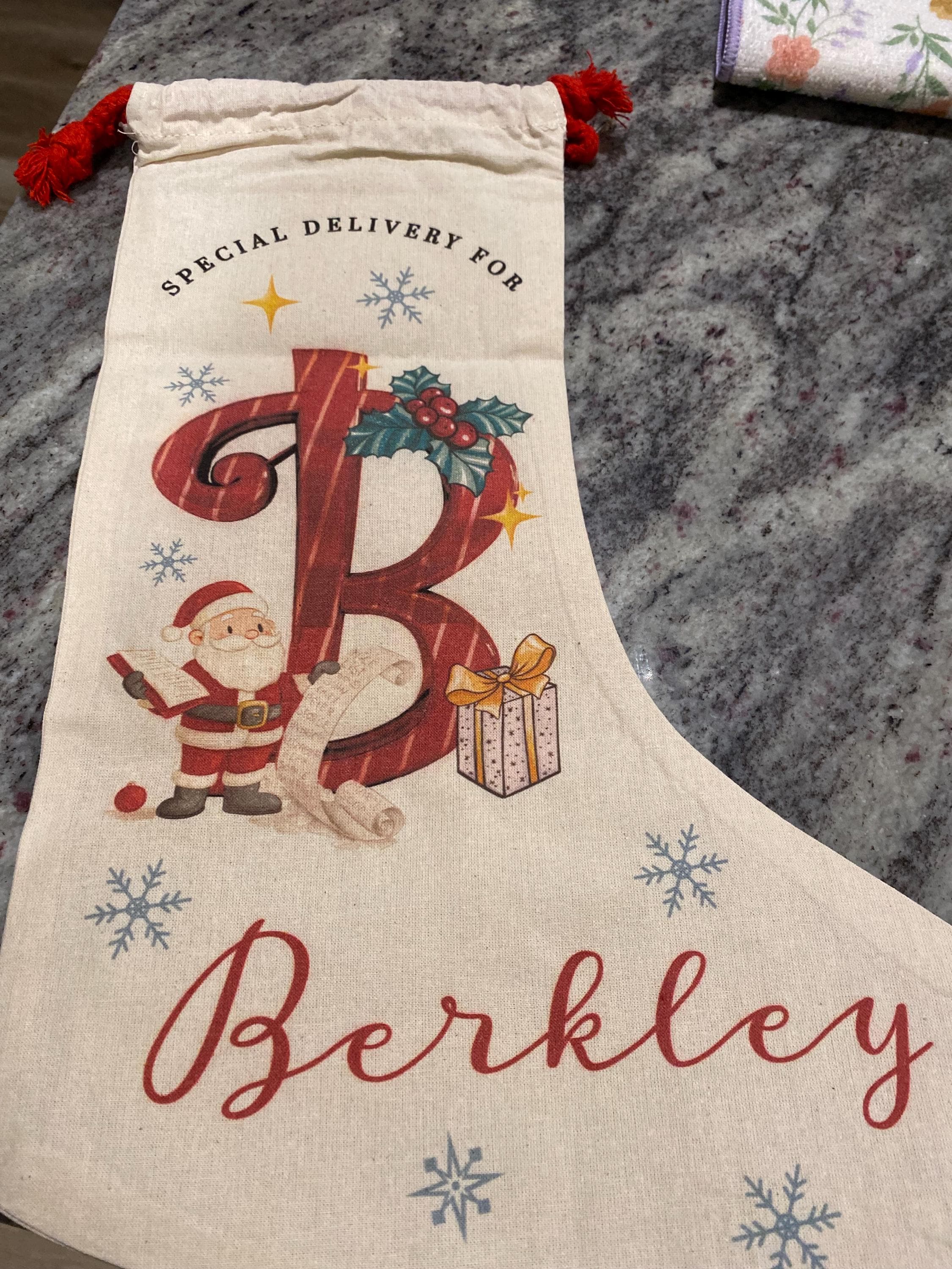 Christmas Santa Stocking, Custom Christmas Stocking, Special Delivery Kids Stocking for Christmas, Personalized Christmas Family Stocking