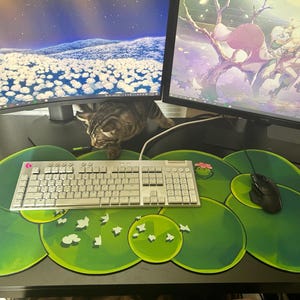 Aud added a photo of their purchase