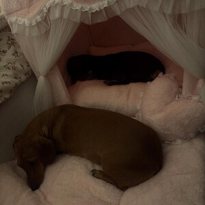 Polly added a photo of their purchase