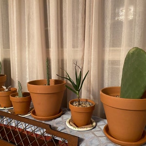 Mike added a photo of their purchase