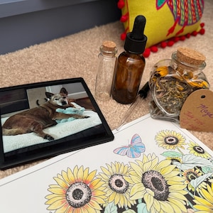 V added a photo of their purchase