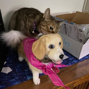 Yvonne added a photo of their purchase