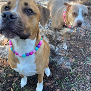 Tammy added a photo of their purchase
