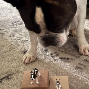 Jessica added a photo of their purchase