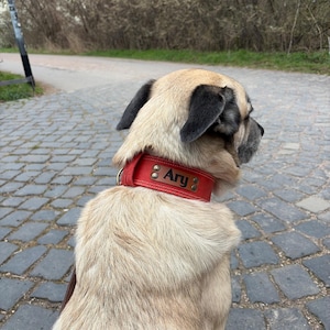 Levi heeft een foto van de aankoop toegevoegd