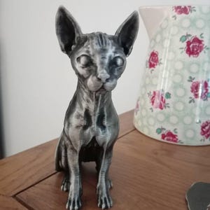 Diana heeft een foto van de aankoop toegevoegd