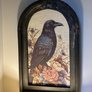 Dr. added a photo of their purchase