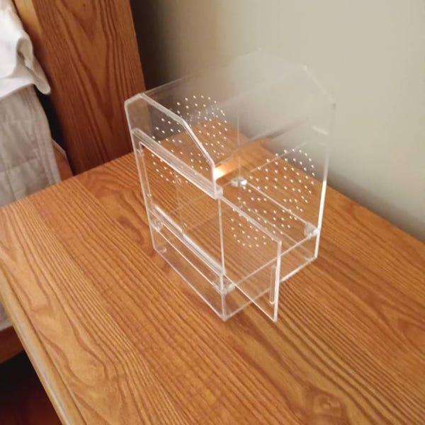 3D Universal Treehouse Insert for Jumping Spiders and Invertebrate ...