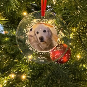 Rebecca added a photo of their purchase
