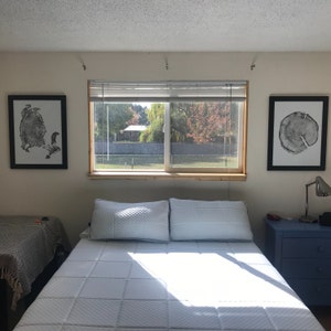 Inactive account added a photo of their purchase