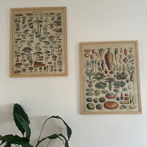 Etsy-koper heeft een foto van de aankoop toegevoegd