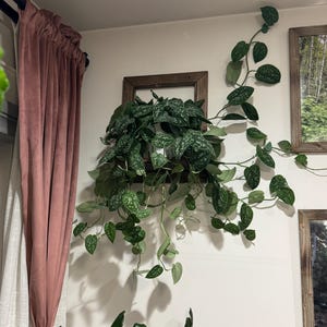 Alexis added a photo of their purchase