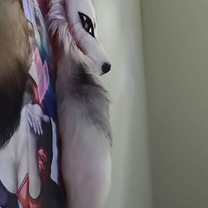 Kade ha aggiunto una foto del proprio acquisto