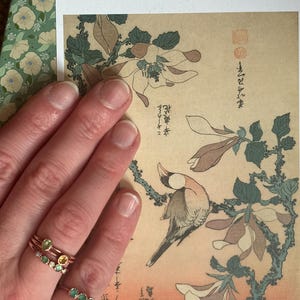 Iris added a photo of their purchase