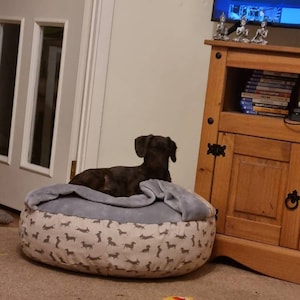Sofee added a photo of their purchase