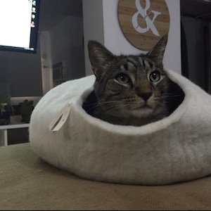 Bonnie added a photo of their purchase