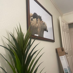 Erica added a photo of their purchase