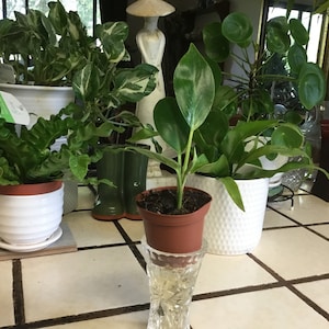 TIM added a photo of their purchase