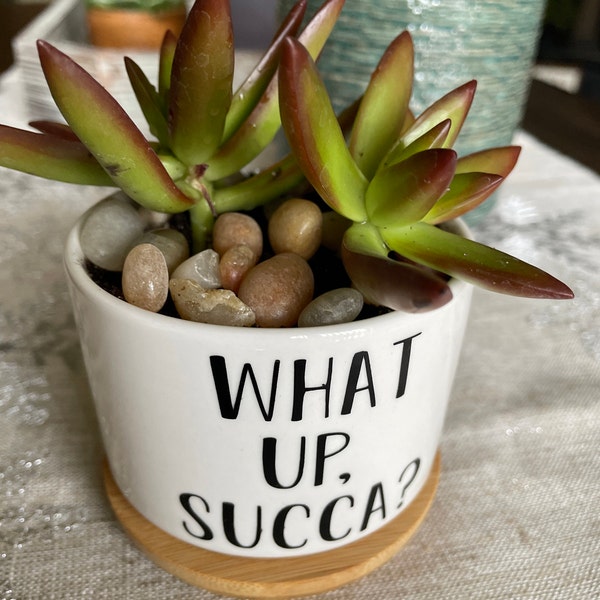 Planter Designs3, Succulent Planter, Ceramic Planter Pot With Bamboo ...