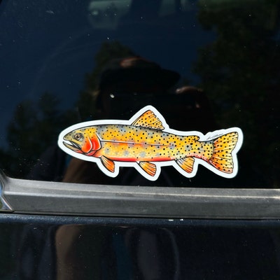 Rainbow Trout Sticker Decal 20% Flows to Western Rivers - Etsy
