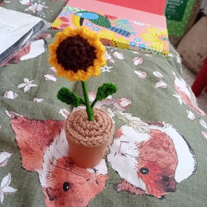 Julia added a photo of their purchase
