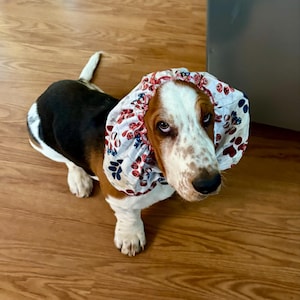 Andrea added a photo of their purchase
