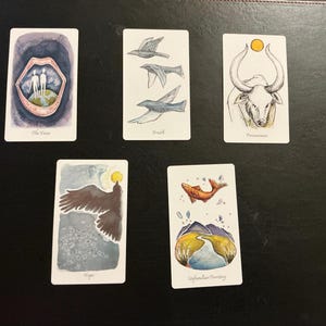 JoyfulKat added a photo of their purchase