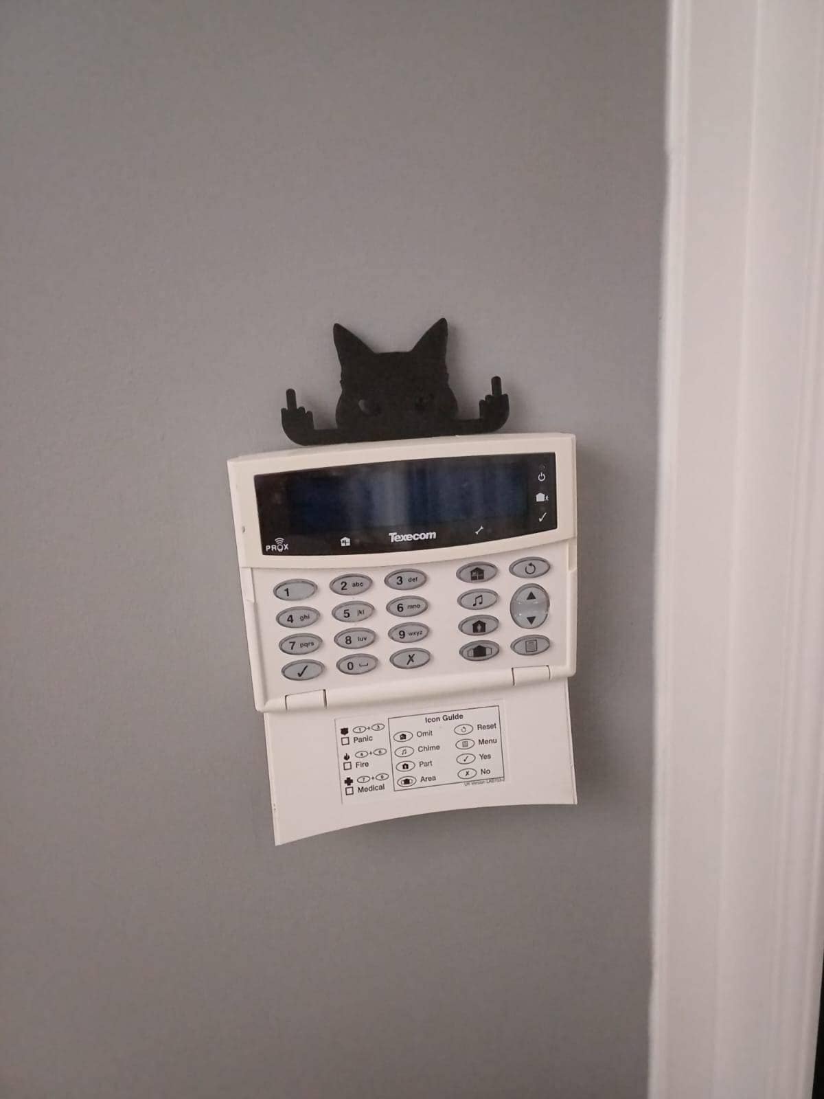 Novelty Cat Ornament Or Display On Door Or Wall