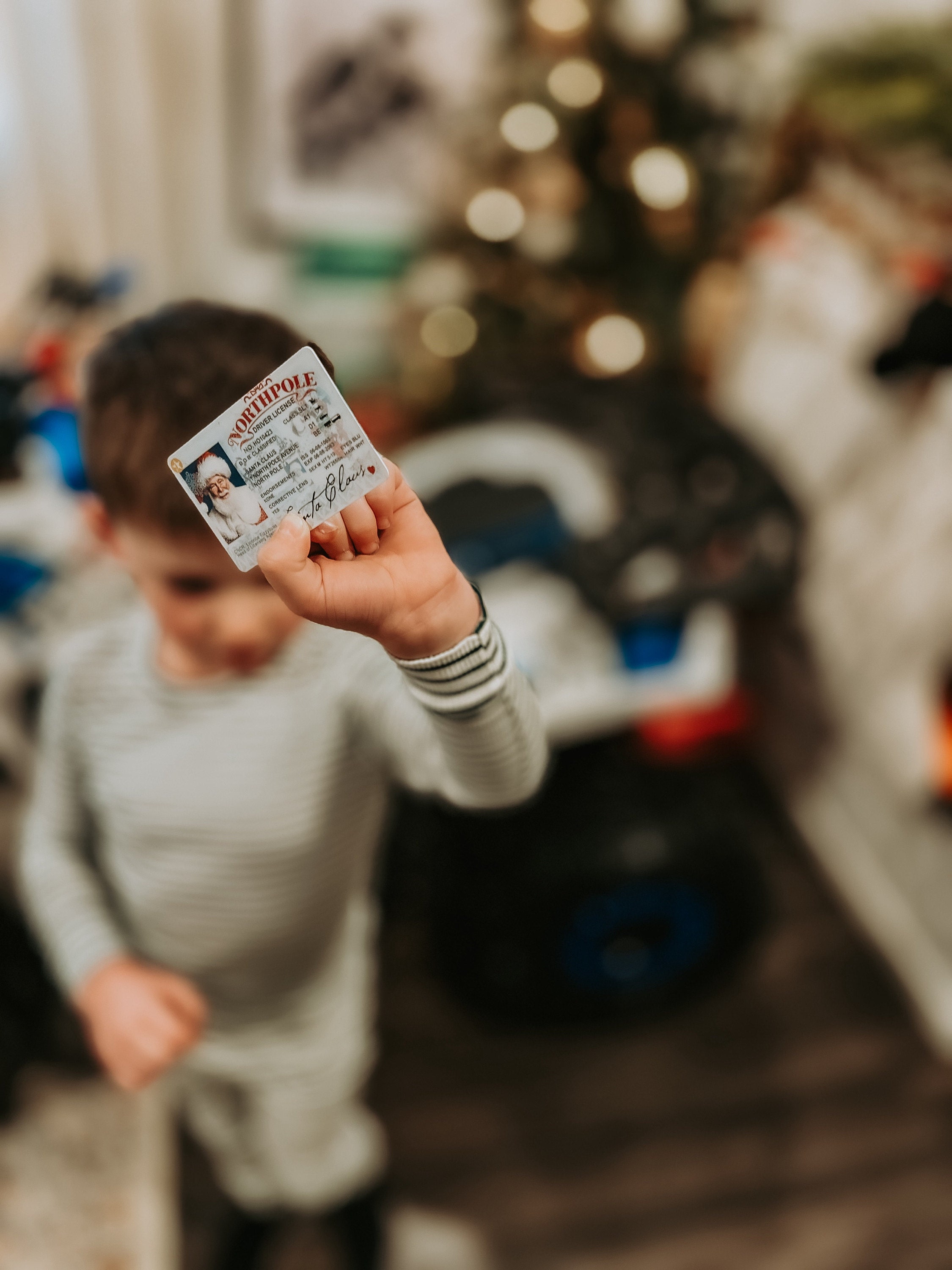 Santa&#39;s Sleigh / Lost Driving License/ Santa License / Santa Driving License / Santa sack / Christmas decorations
