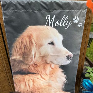 SUE added a photo of their purchase