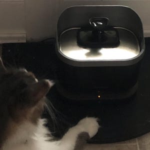 K added a photo of their purchase