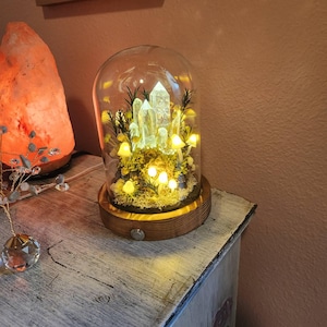 Daniela added a photo of their purchase