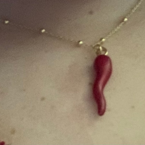 tinazayas added a photo of their purchase