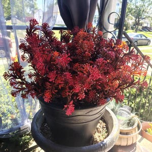 Tami added a photo of their purchase