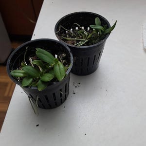 Brian added a photo of their purchase