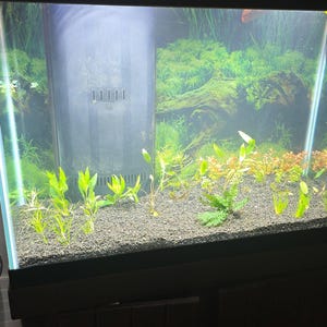 C added a photo of their purchase