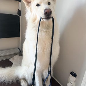 Alexa added a photo of their purchase