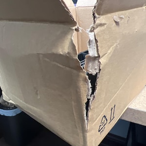 Rayana added a photo of their purchase