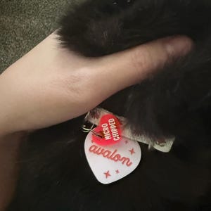 Skyler added a photo of their purchase