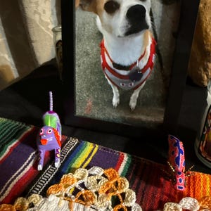 Jennifer added a photo of their purchase