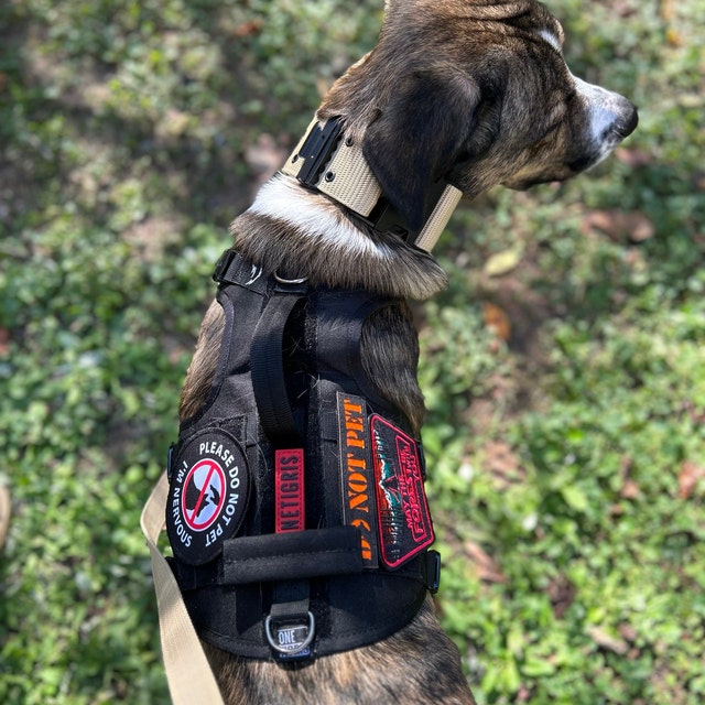Nervous Dog Patch Ask to Pet Patch Dog Vest Patches Custom Dog Patches Sew  on Harness Dog Patch Anxious Dog Patch for Pet Lovers 