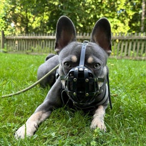 Nadine added a photo of their purchase