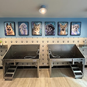 Dana added a photo of their purchase