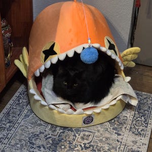 Sioux added a photo of their purchase