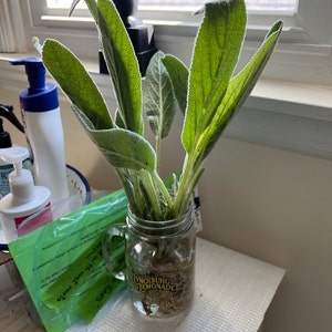 Pat ha añadido una foto de su compra