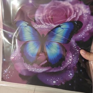 Mary ha añadido una foto de su compra